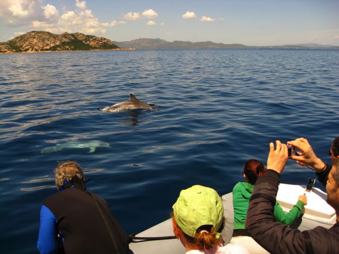 GIAN ANDREA Golfo Aranci foto 6